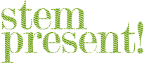 www.stempresent.nl