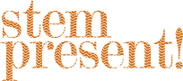 www.stempresent.nl