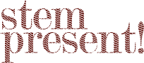 www.stempresent.nl